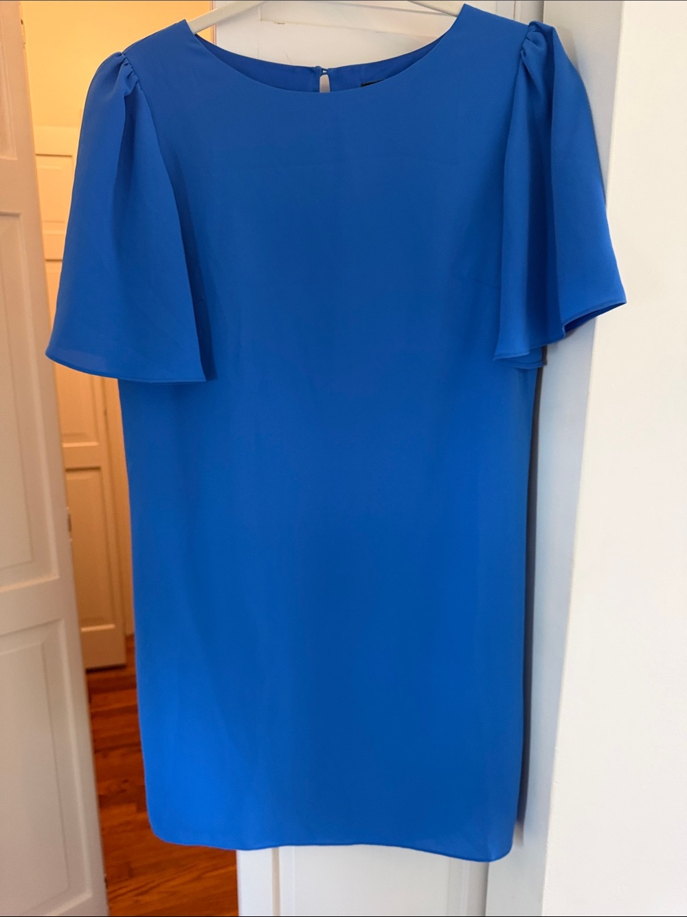 Gianni Bini Blue Mini Dress with Flutter Sleeves S